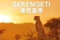 《塞伦盖蒂》纪录片 第一季 Serengeti Season 1 (2019)