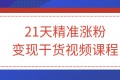 21天精准涨粉变现干货视频课程