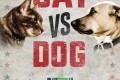 《猫狗大战》Cat vs Dog 纪录片 (2017) 1080