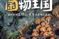 《菌物王国》纪录片 (2023)