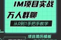 Java程序员阿斌手把手教学IM项目实战课