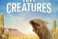 《微观世界》纪录片 Tiny Creatures (2020)