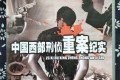 《中国西部刑侦重案纪实》纪录片 (2000)