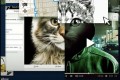 《别惹猫咪：追捕虐猫者》纪录片 (2019)