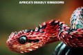 《非洲致命国度》纪录片 Africa’s Deadly Kingdom (2018)