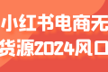 小红书电商无货源2024风口