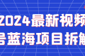 2024最新视频号蓝海项目拆解