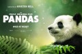 《大熊猫》纪录片 Pandas (2018)