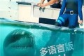 《不可思议的动物家园》纪录片 (2020) 1080P 国语