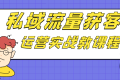 私域流量获客运营实战教课程