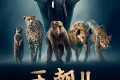 《王朝》纪录片 第二季 Dynasties Season 2 (2022)