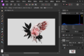 Affinity Photo v2.5.6.2887绿色版