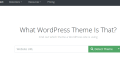 ThemeDetect：一个专注于检测 WordPress 网站所使用主题的在线工具