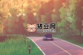 《拉力赛艺术》v1.5.8中文版