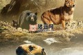 《海狼之岛》纪录片 (2022) 1080P 中英外挂字幕