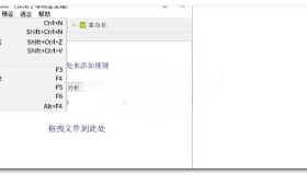 ReNamer 7.5.0.1 Beta 多规则文件批量重命名工具