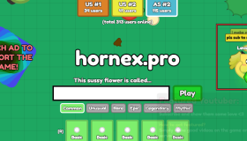 hornex.pro：在线多人网页游戏
