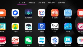 应用管家v1.2.7.1 电视应用管理 支持车机