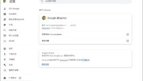 Google Chrome v120.0.6099.217 谷歌浏览器增强版