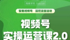 交个朋友：视频号实操运营课2.0