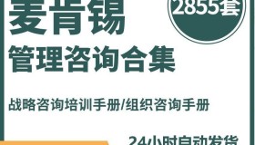 麦肯锡2855套管理咨询合集