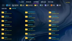 应用管家v1.2.8.2 电视应用管理，超越了系统自带管理功能的应用，支持车机