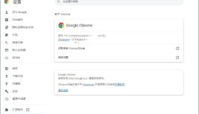 Google Chrome 谷歌浏览器v121.0.6167.185 增强版