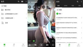 XPlayer v2.3.8.1专业版万能视频播放器