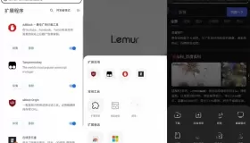 狐猴浏览器v2.5.5.001 Lemur Browser，支持谷歌、微软插件的手机浏览器