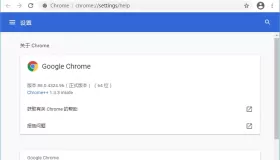Google Chrome v122.0.6261.95 便携增强版 谷歌Chrome浏览器