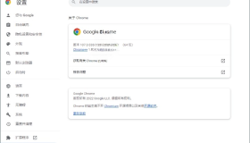 Google Chrome 谷歌浏览器v122.0.6261.112增强版