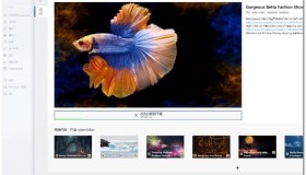 DeskScapes v11 酷炫的梦幻动态视频桌面特效美化软件