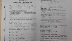 小学期末真题卷全国各大教材版本大合集