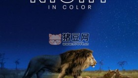 《夜色中的地球》 (2020) 4K HDR 中字外挂字幕