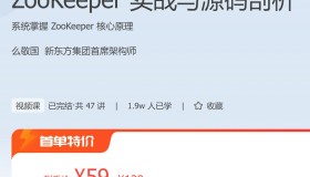 极客时间：ZooKeeper实战与源码剖析