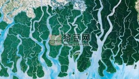 《从太空看地球》(2019) 1080P 中英外挂/内嵌字幕