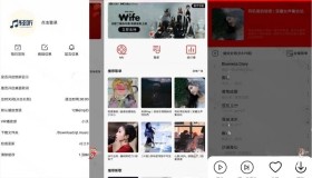 轻听音乐v2.3.3 清爽版