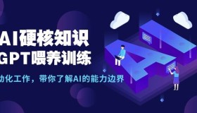 AI硬核知识GPT喂养训练