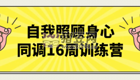 自我照顾身心同调16周训练营