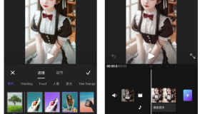 Vidma 视频编辑v2.8.6 解锁付费专业版会员版