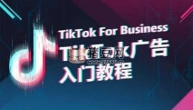 TikTok For Business：TikTok广告投放入门教程