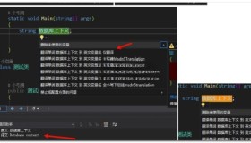 Visual Studio 中文翻译插件