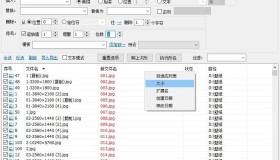 MiniRenamer v2.2.1 批量文件重命名免费工具