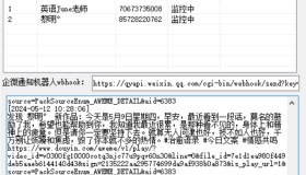 抖音作品监控自动去水印下载工具v1.0