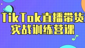 TikTok直播带货实战训练营课