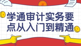 学通审计实务要点从入门到精通课