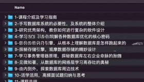 技术大牛成长课：从0到1带你手写一个数据库系统