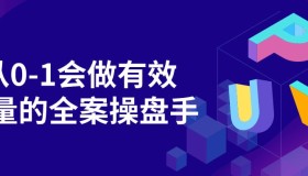 从0-1会做有效流量的全案操盘手