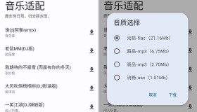 音乐适配v3.0 全网音乐免费下载