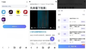 Video Downloader 视频下载器v2.2.6专业版